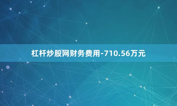 杠杆炒股网财务费用-710.56万元